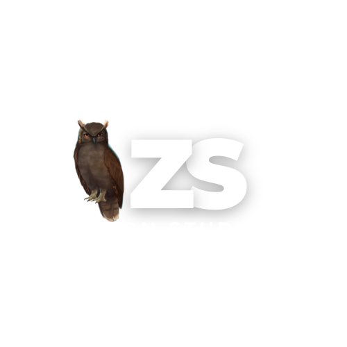 ZENONSTUDIO